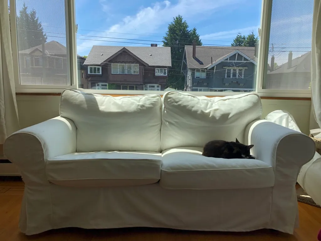 Ektorp Loveseat (ikea) photo 1