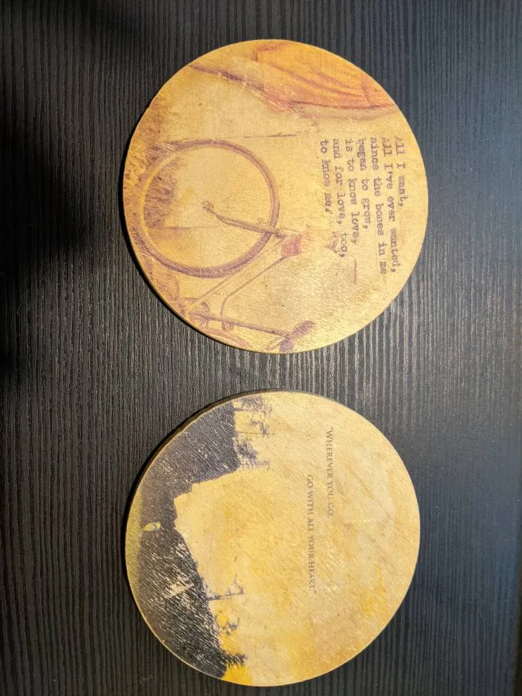 Big Bear And The Wolf Coasters photo 1