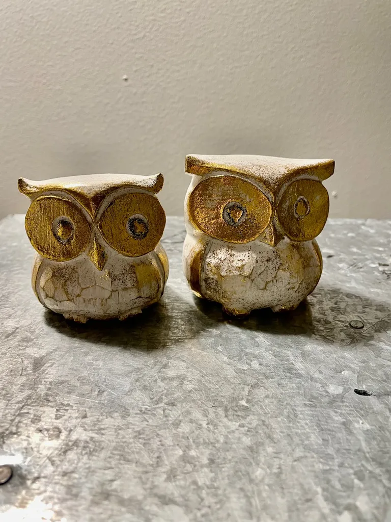 Wooden Owls photo 1