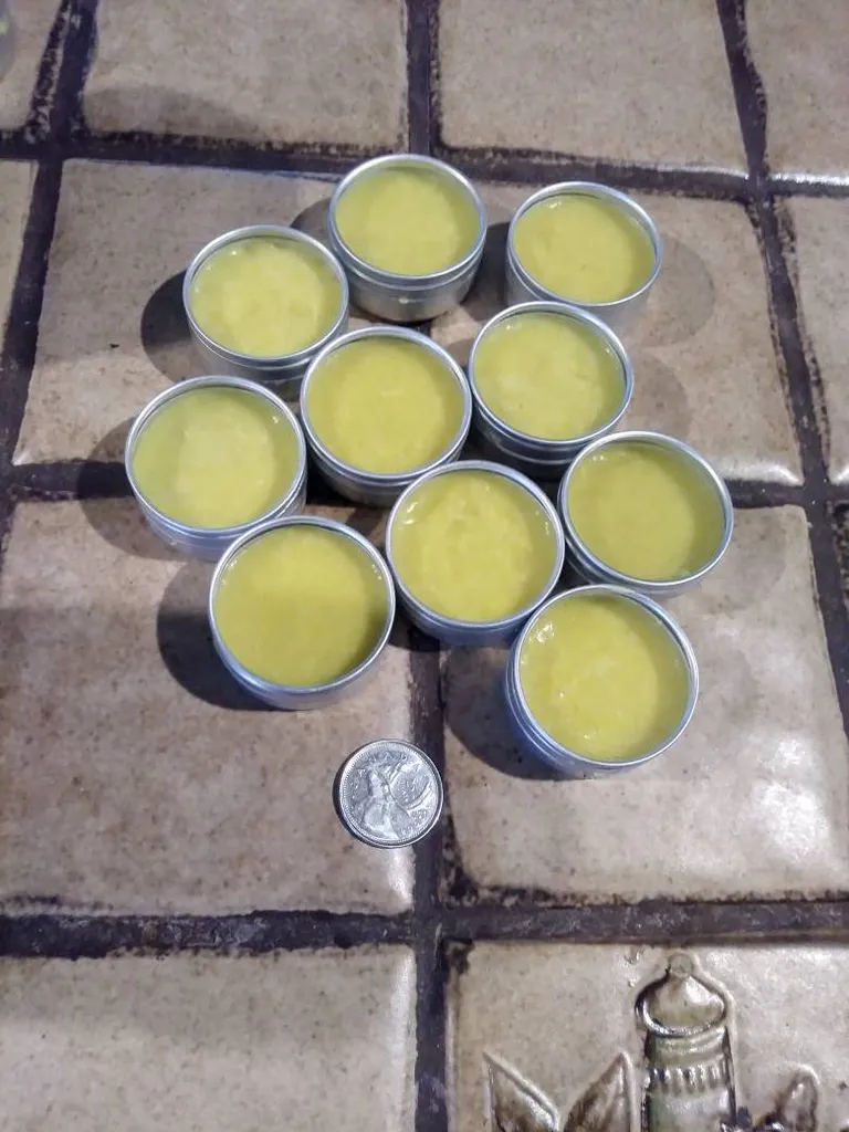 Dandelion Salves photo 1