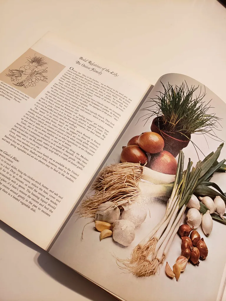 French cookbook (in English) Provance photo 1