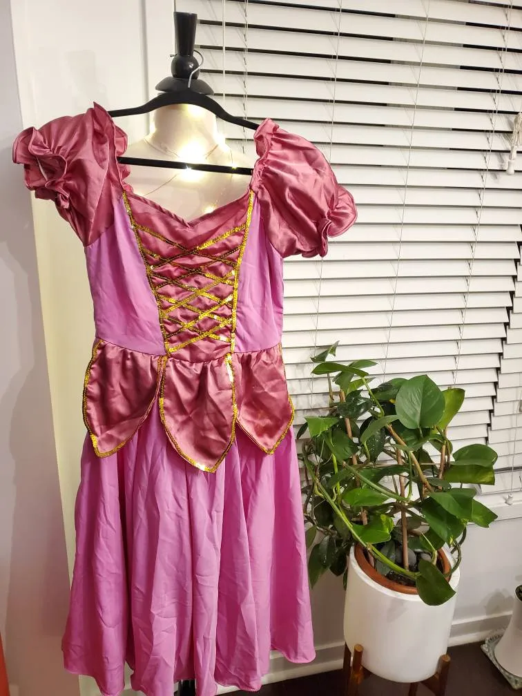 Vintage Youth Princess Costume photo 1