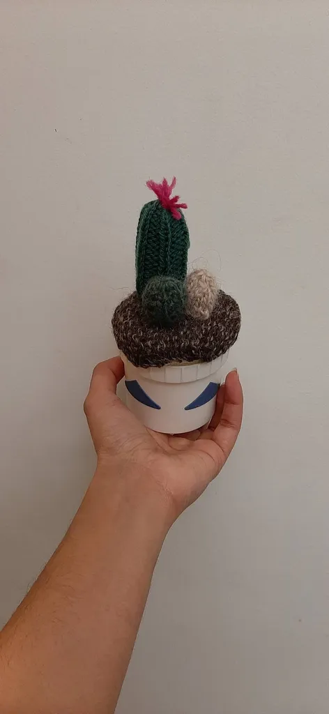 Threaded Cactus photo 1