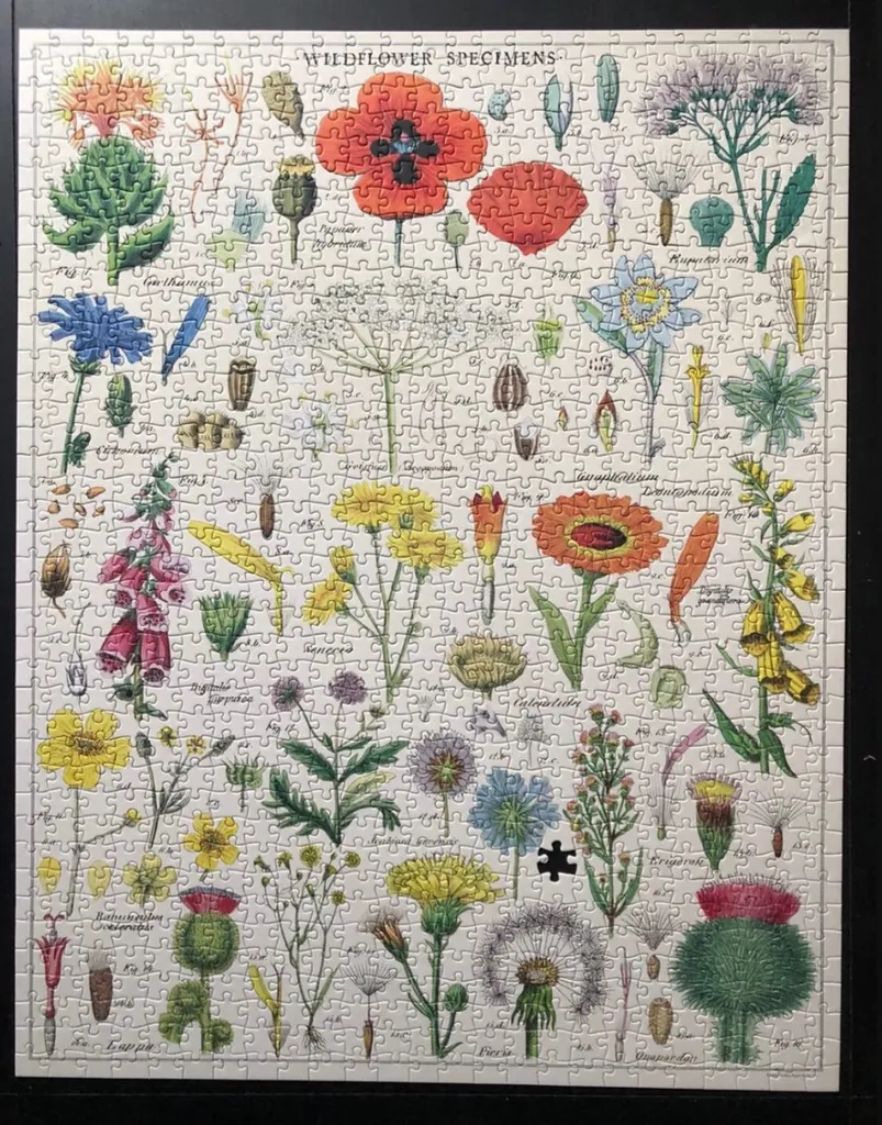 ISO: The person i Traded this puzzle with! Missing piece found! photo 1