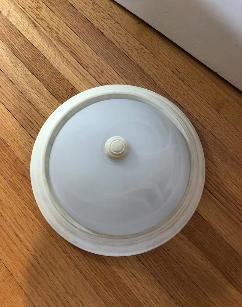 Flush Mount Light Fixture photo 1