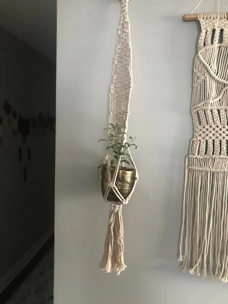 Macrame Plant Wall Hanger photo 1
