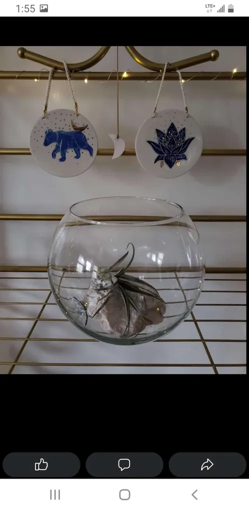 Glass terrarium photo 1