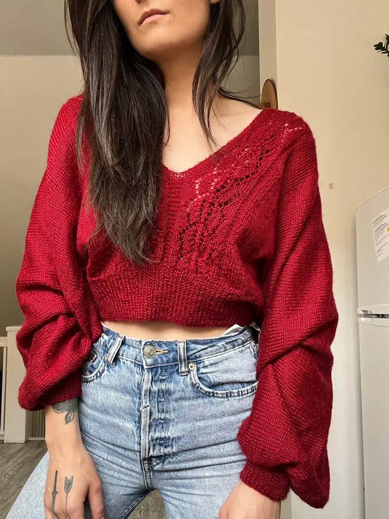Red Balloon Sleeve, Crop Sweater photo 1