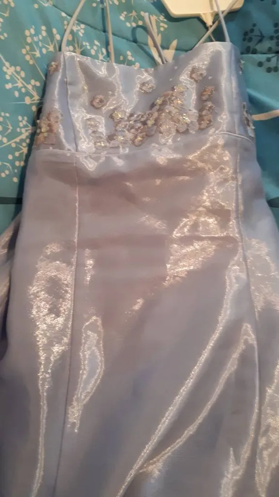 Evening Gown photo 1