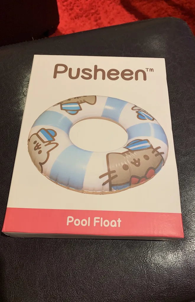 Pusheen pool float photo 1