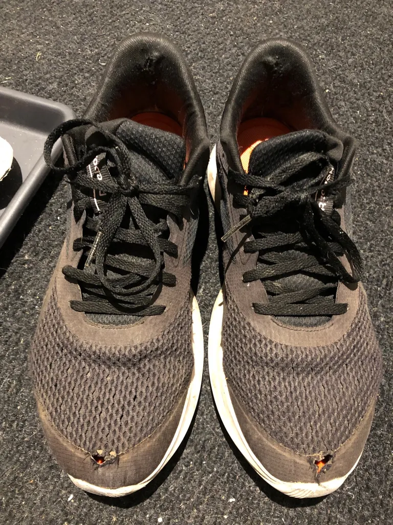 Free Reebok Shoes - Women’s Size 10 photo 1