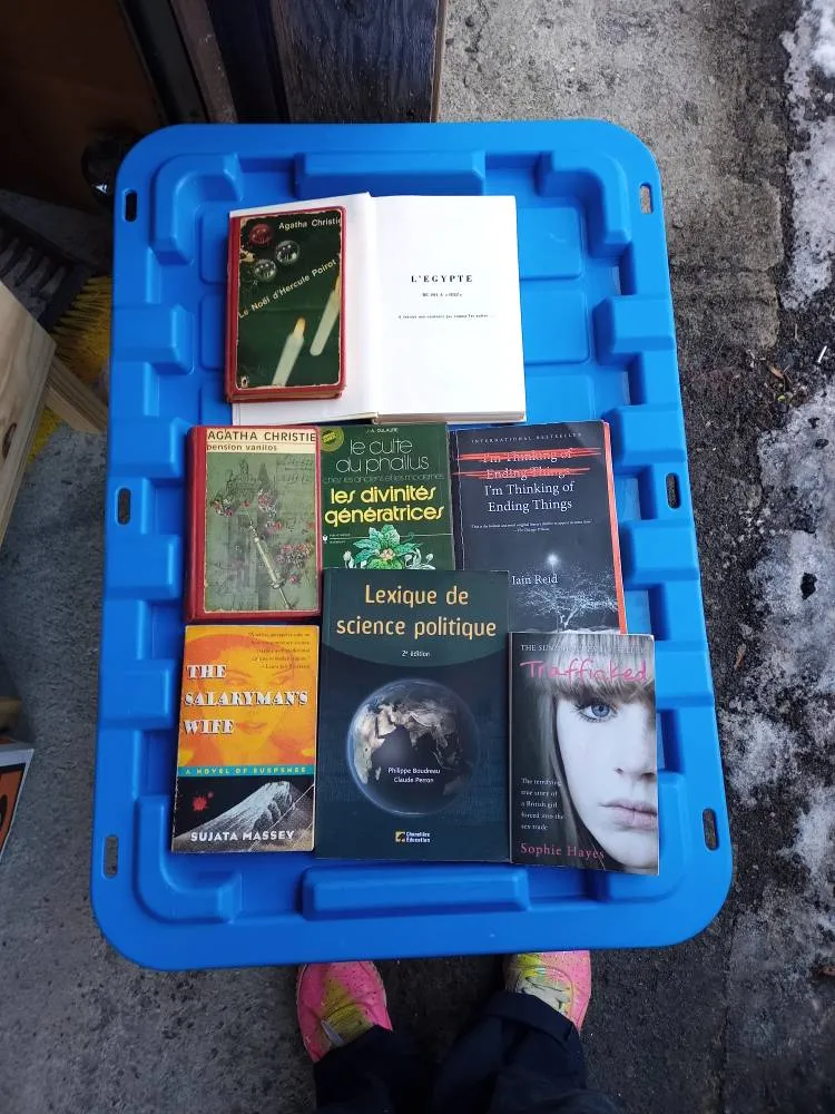 French & English Books photo 1