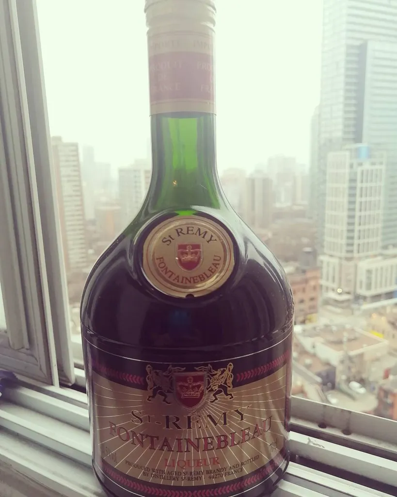 Needs To Go✨St. REMY FOUNTAINEBLEAU photo 1