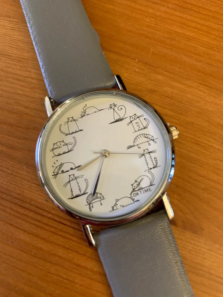 New Cat Watch photo 1