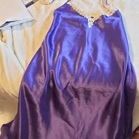 Purple Silk Nightgown photo 1