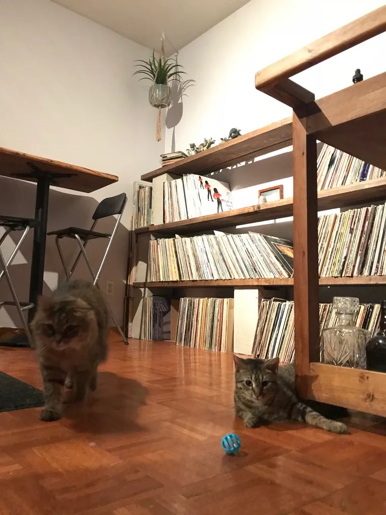 Vinyl Records photo 1