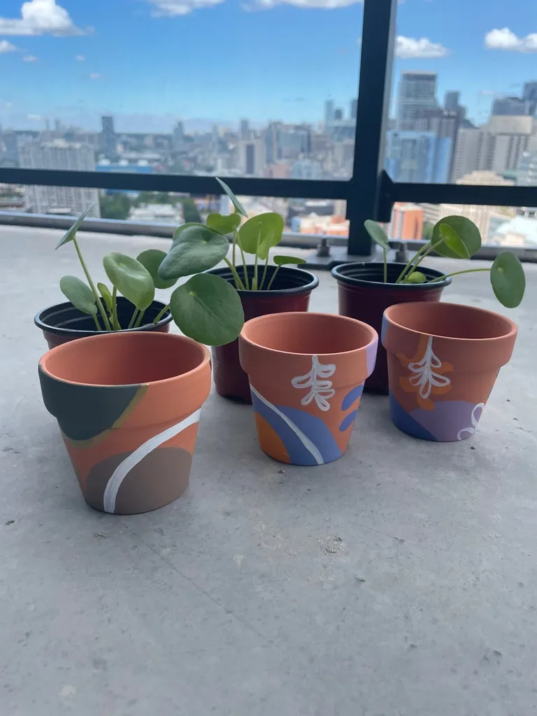 Pilea Plants And Hand Painted Pots photo 1
