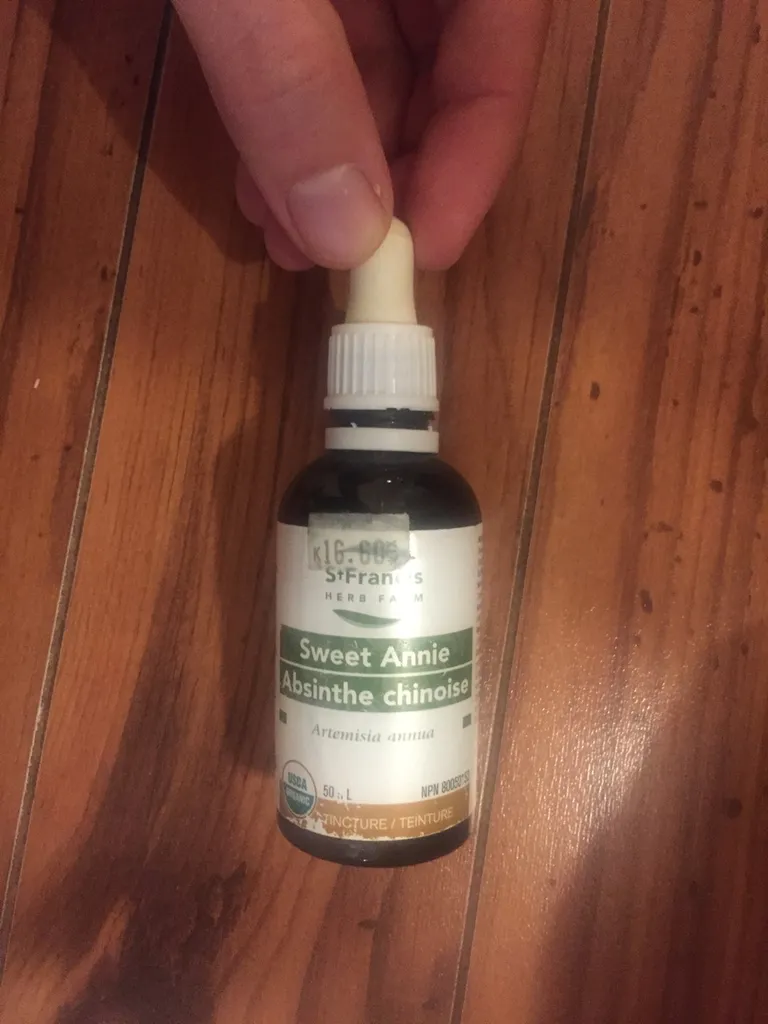 Artemisia Annua photo 1