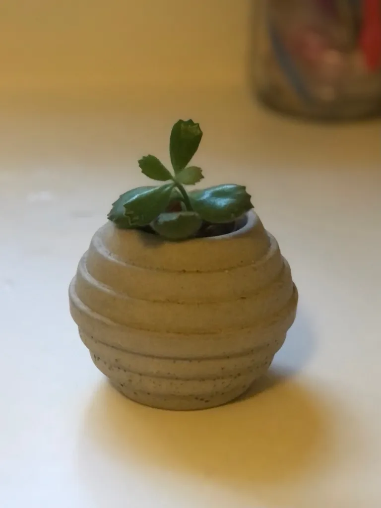 Cement Planter photo 1