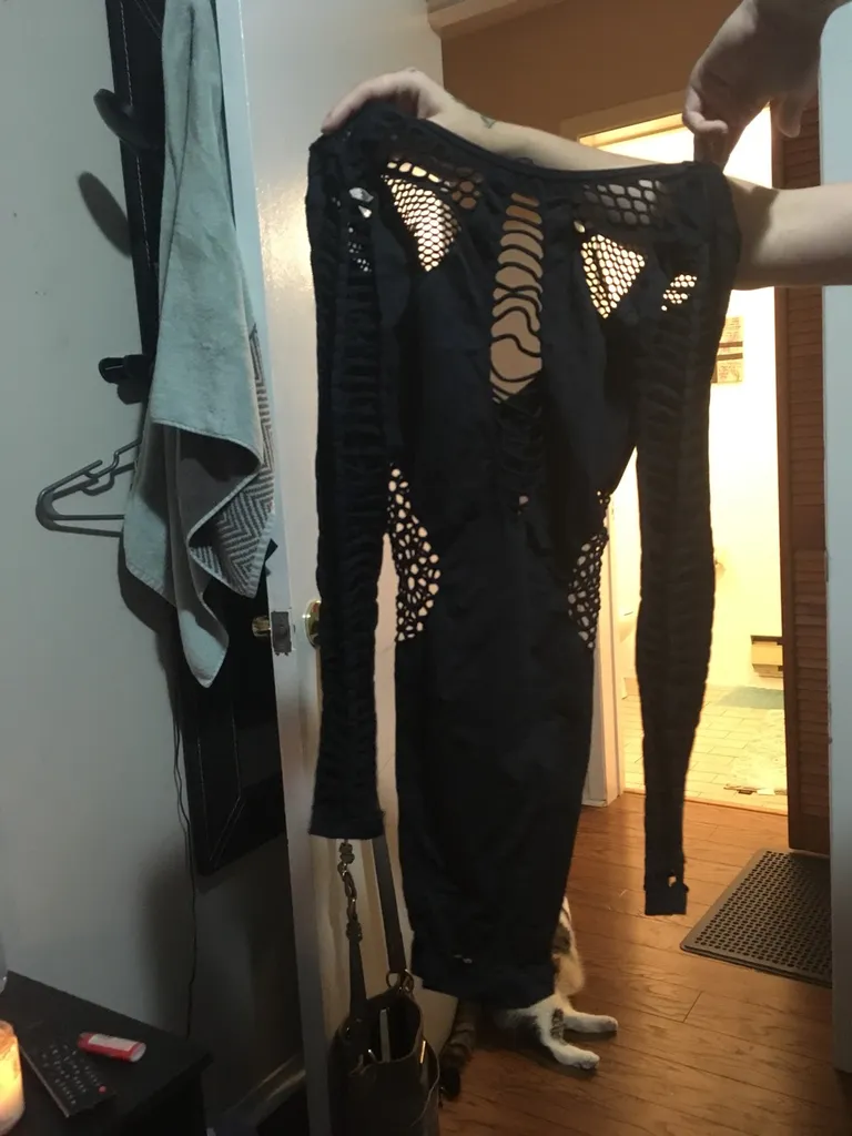 Tight Mesh Dress photo 1