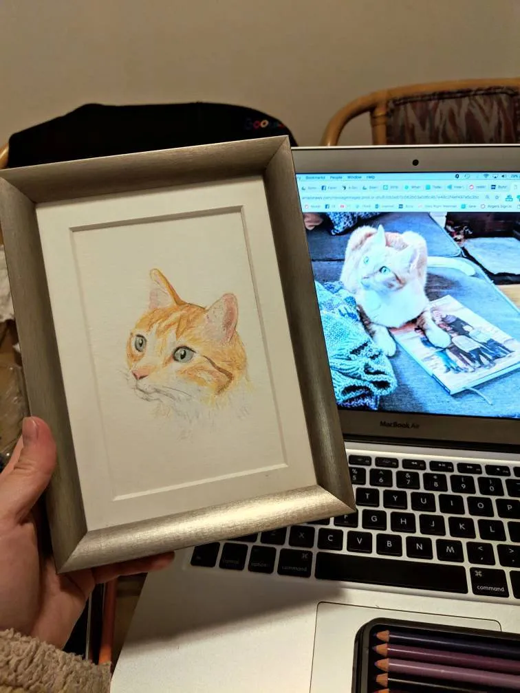 Custom Pet Portraits photo 1