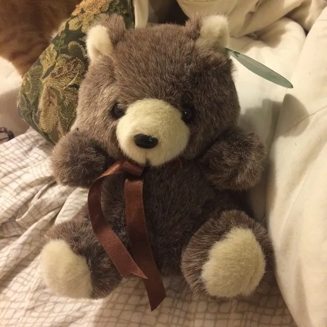 Free Teddy Bear photo 1