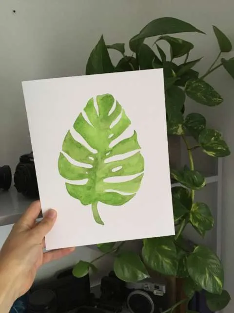 Original watercolour prints 🌔🌿 photo 1