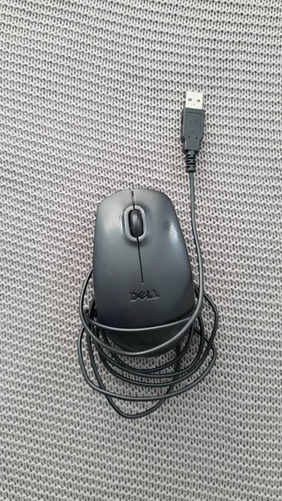 Computer Mouse photo 1