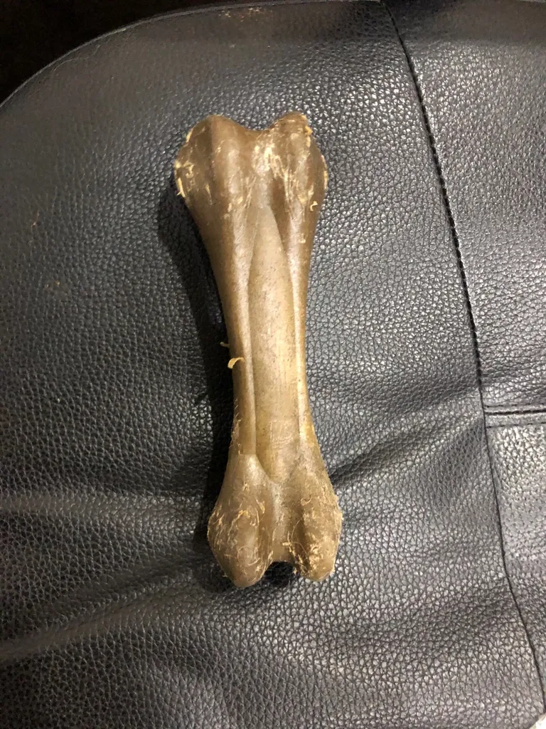 Durable Dog Toy photo 1