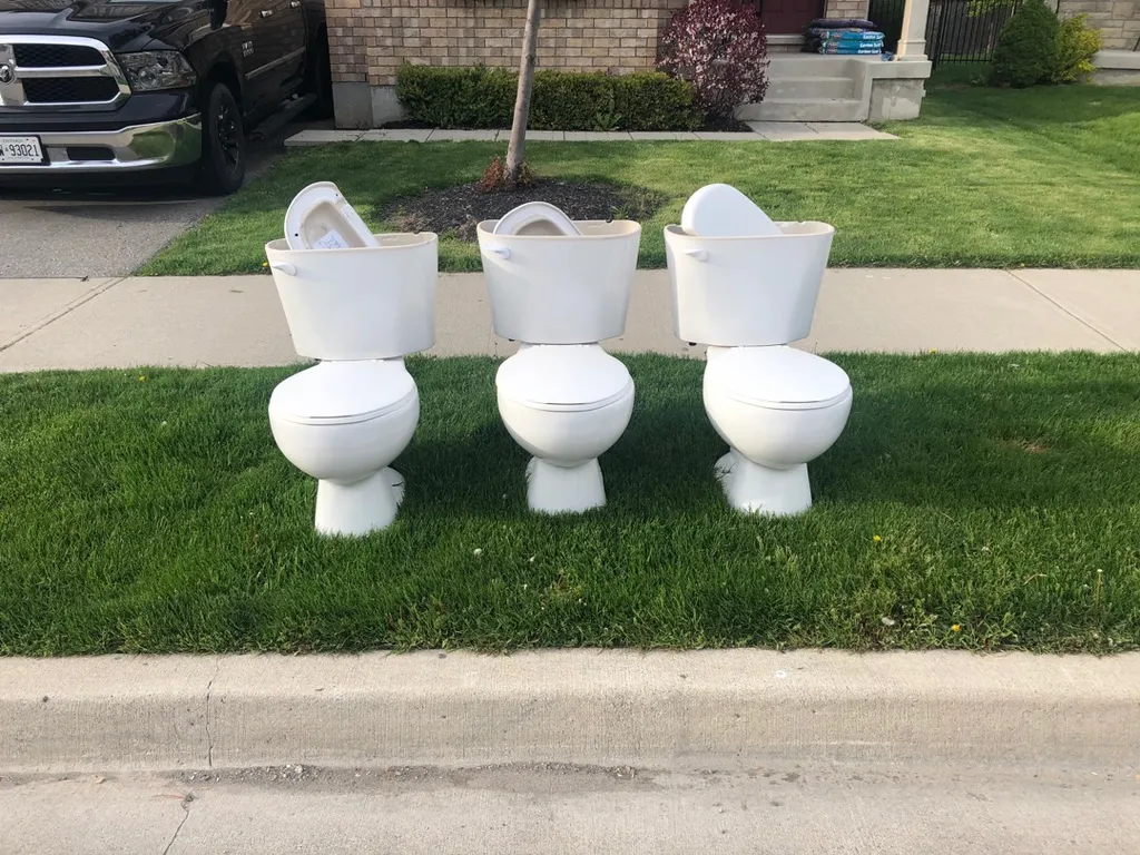 3 Fully Functioning Toilets photo 1