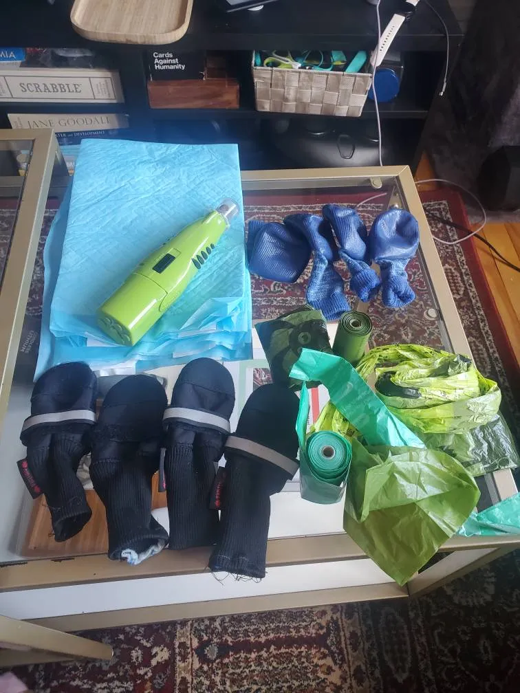 Dog Accessories photo 1