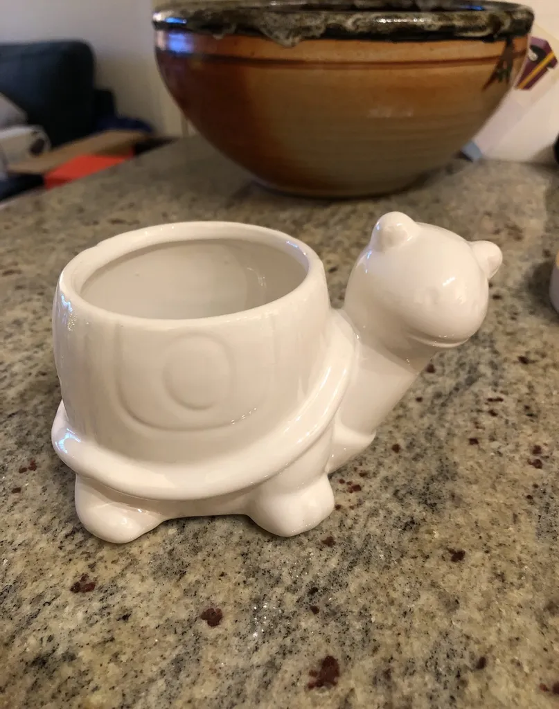Turtle Flower Pot photo 1
