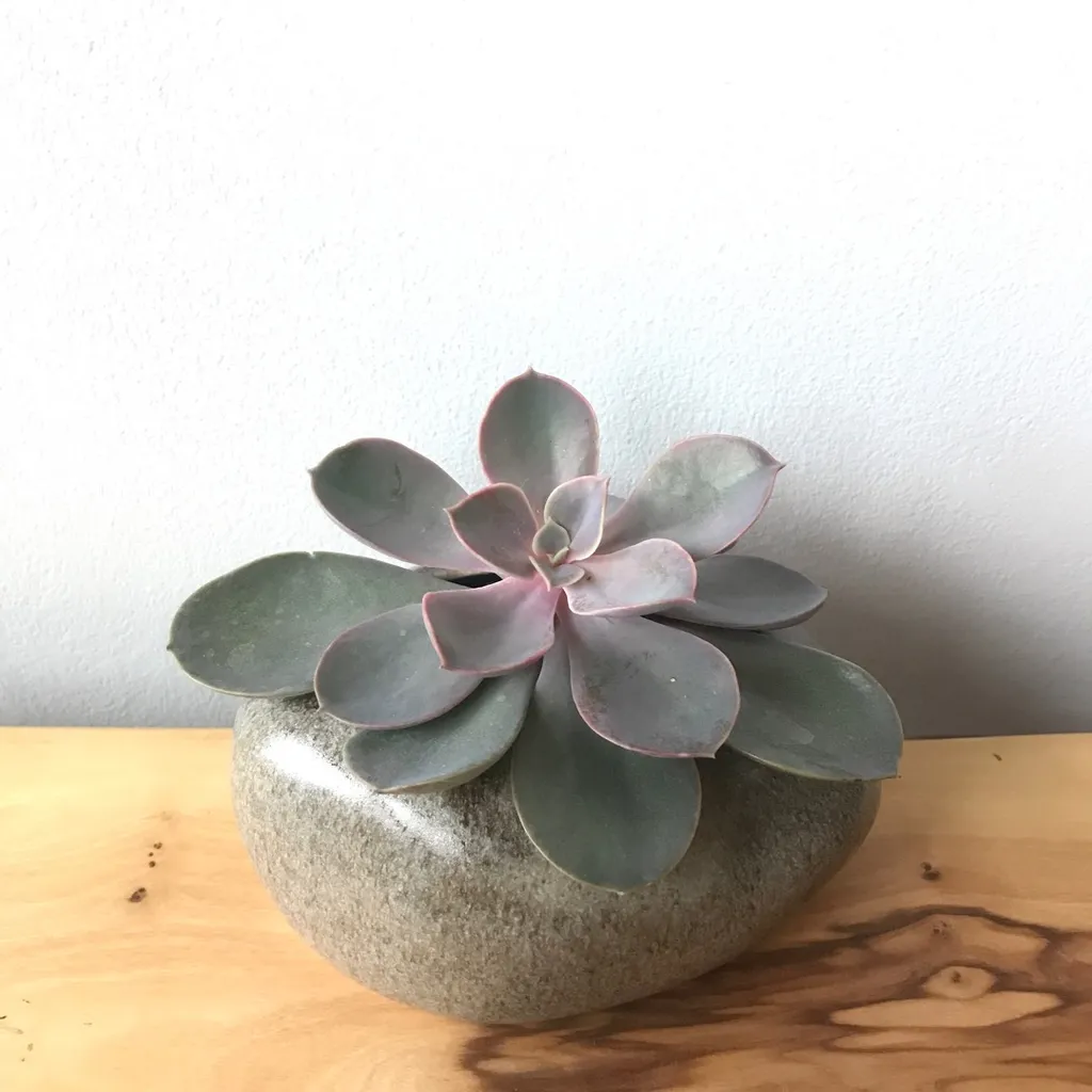 New Handmade Ceramic Planter photo 1