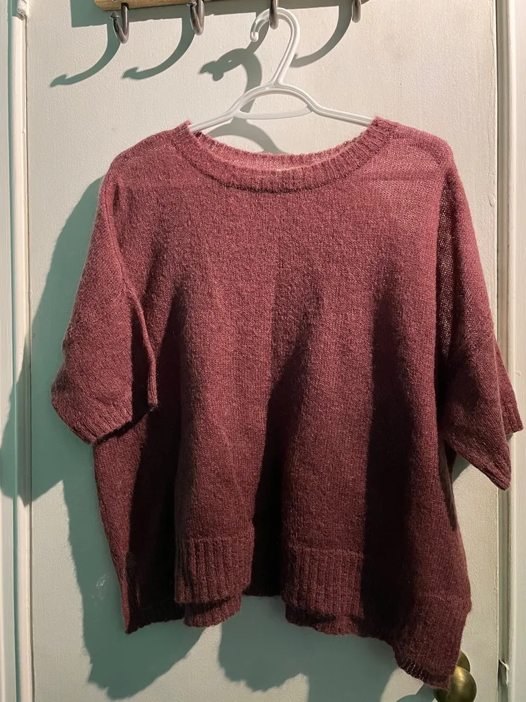 Wilfred XS Burgundy Top photo 1