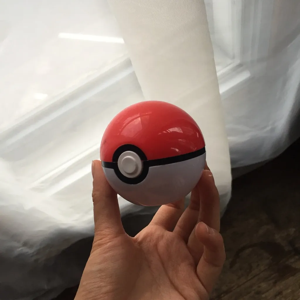 Poke-ball photo 1
