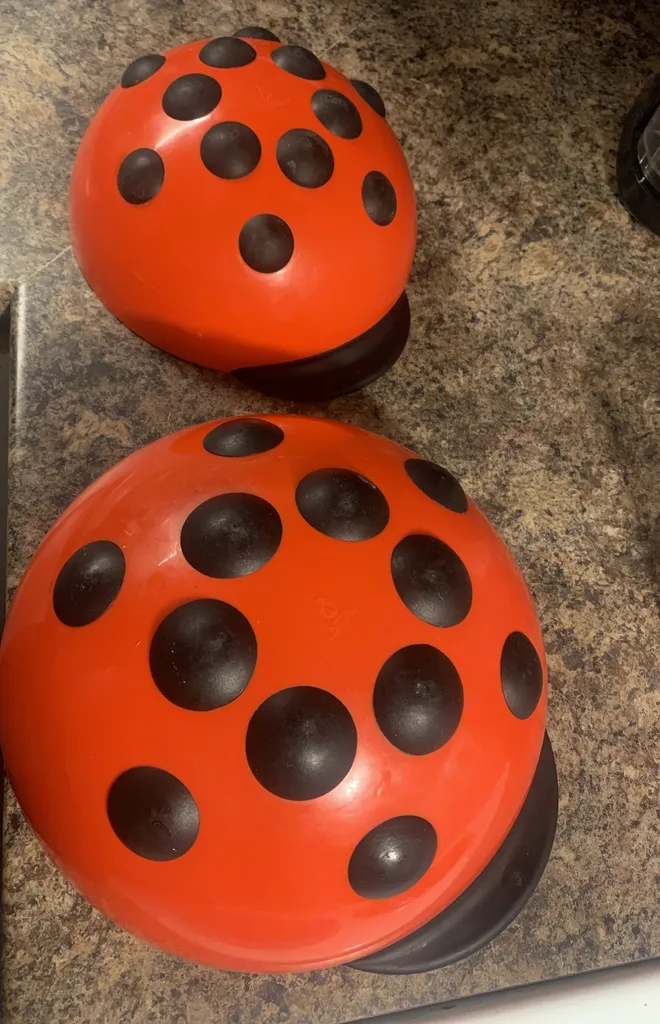 Lady Bug Bowls photo 1