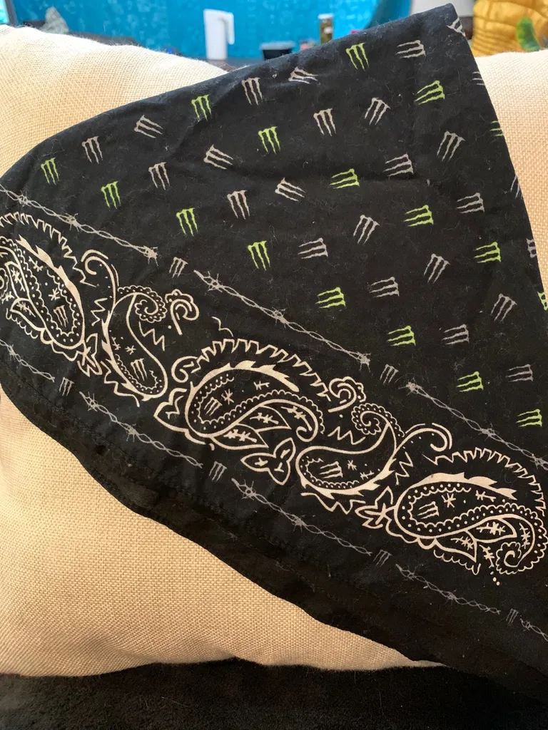 Monster Bandana photo 1
