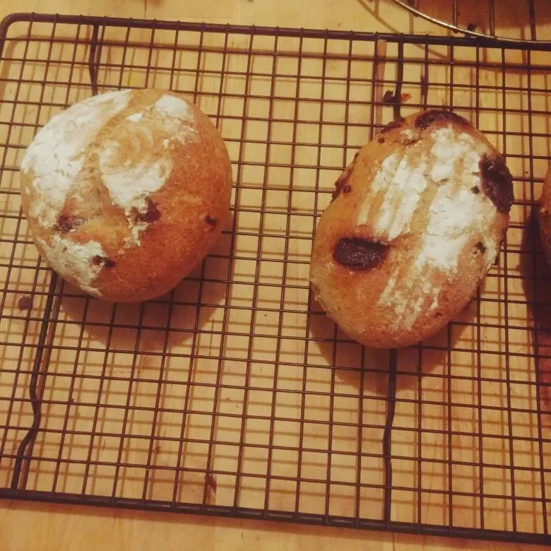 Gluten Free Breads (Sourdough Too) photo 1