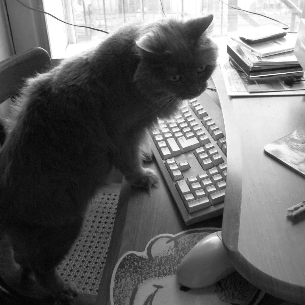 FREE! Answers for Bunz Ghosts that are too lazy to type! Grat... photo 1