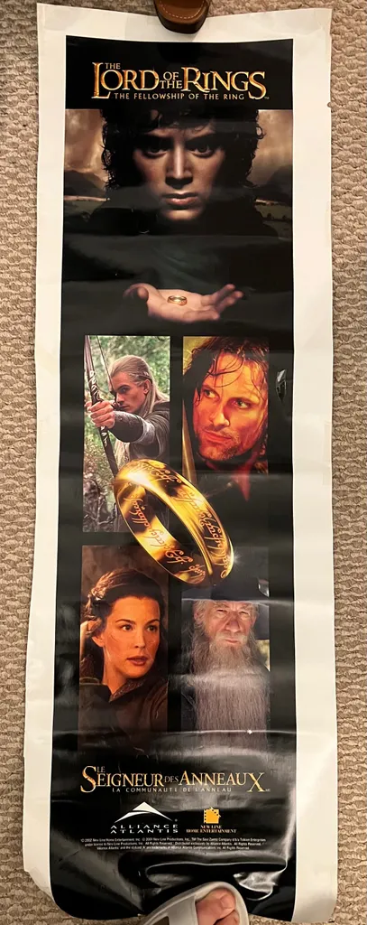 Lord Of The Rings Door Poster photo 1