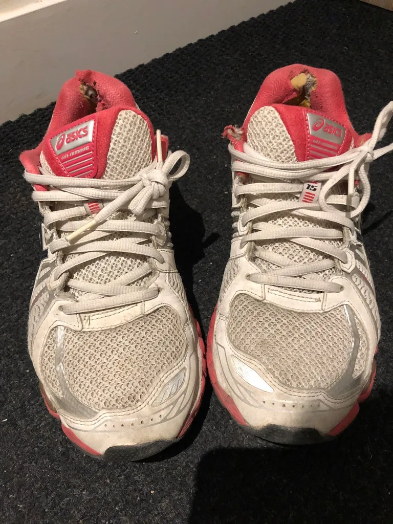 Free Asis Nimbus Shoes Women’s Size 9? photo 1