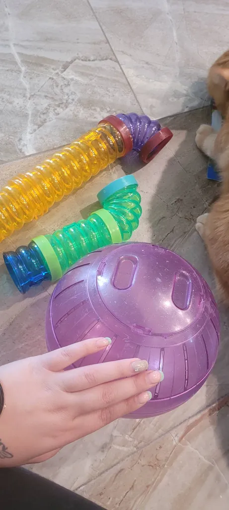 Hamster Items photo 1