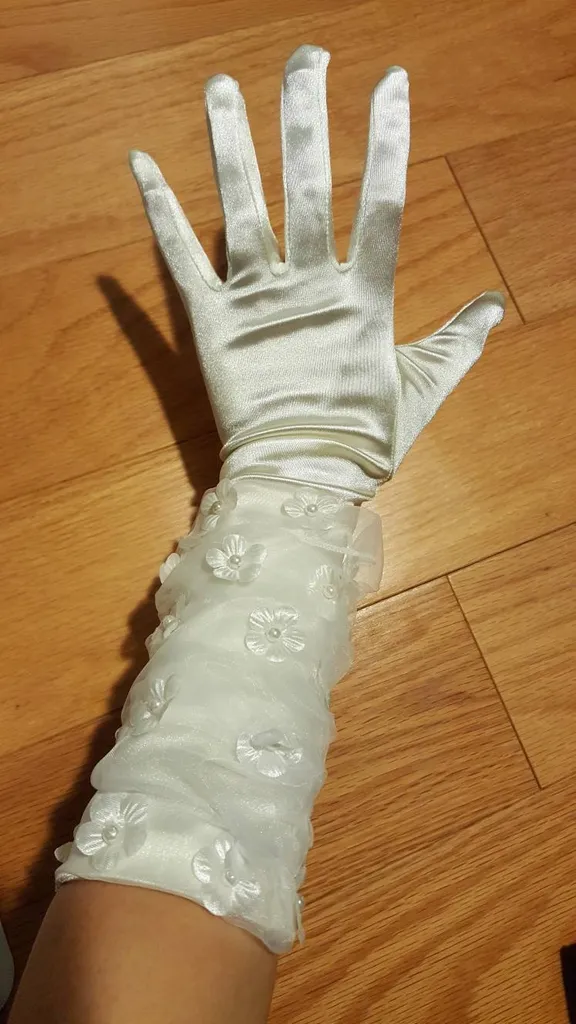 Dressy Gloves photo 1