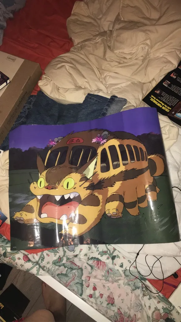 Totoro Cat Bus Poster photo 1