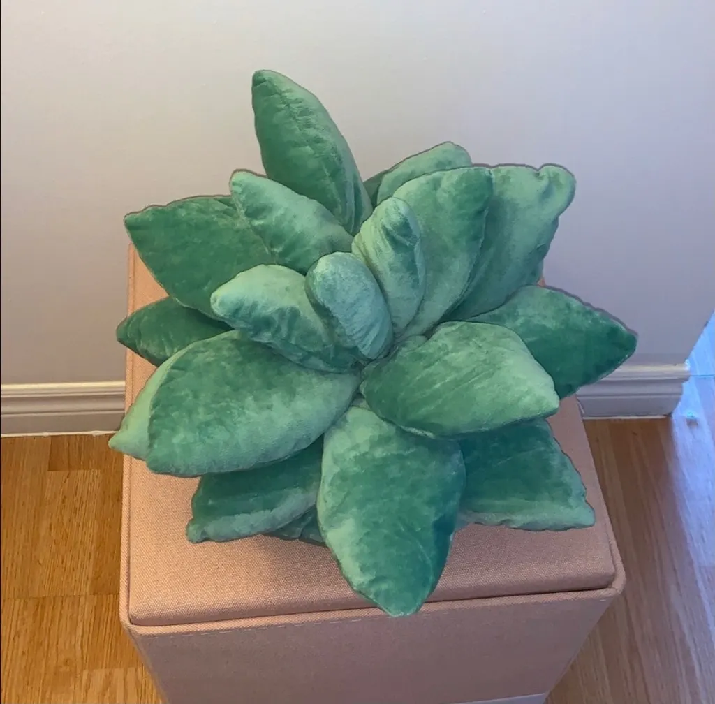 New Succulent Pillow photo 1