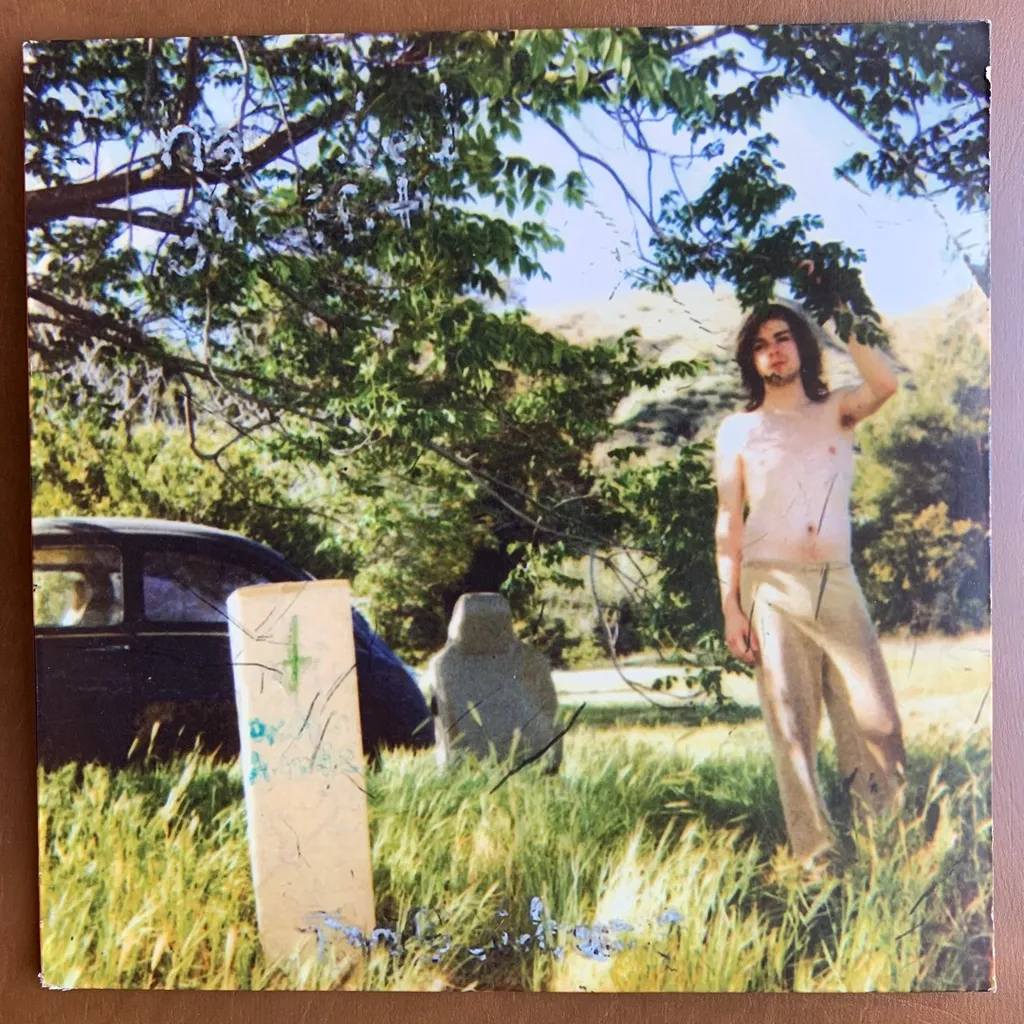 Ariel Pink’s Haunted Graffiti- The Doldrums Vinyl Record (2004) photo 1