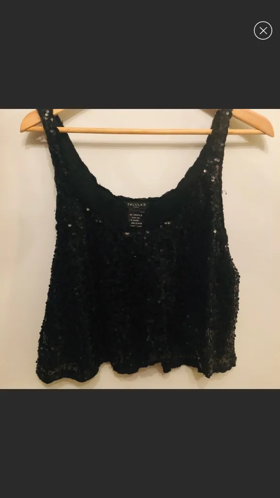 Sequin Aritzia Crop Top photo 1