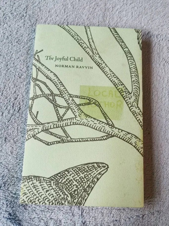 The Joyful Child Book photo 1