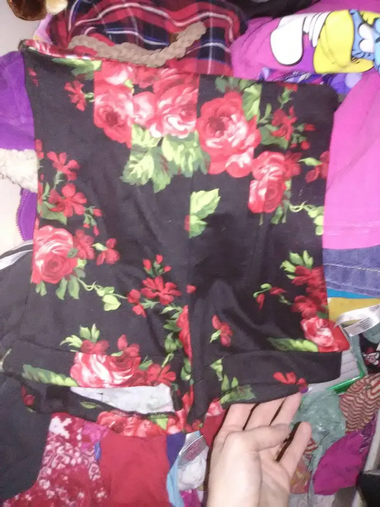 High Waisted Shorts photo 1