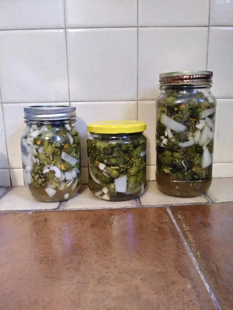 Pickled Dandelion Buds photo 1